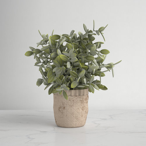 Kelly Clarkson Home 11.5'' Faux Eucalyptus Plant in Ceramic Pot